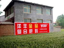 安宁如何让墙体广告展现最大化效果