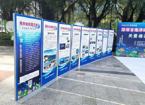 安宁KT板的种类和知识。